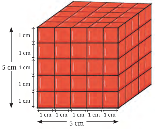 A cube of side 5 cm drawn as 5 by 5 by 5 small cubes with each edge marked 1 cm.